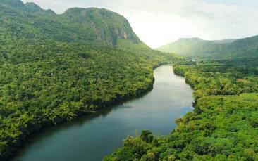 Cover image of Indigenous voices vital to tackling tropical deforestation